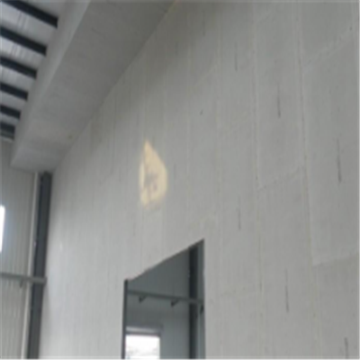 廊坊宁波ALC板|EPS加气板隔墙与混凝土整浇联接的实验研讨